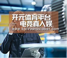 研发能力标题四