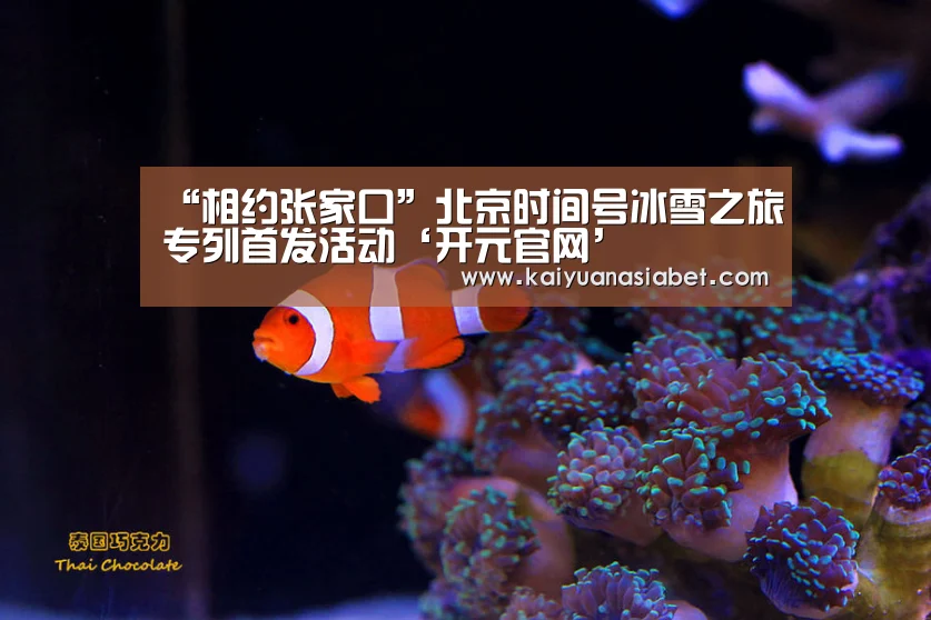 “相约张家口”北京时间号冰雪之旅专列首发活动‘开元官网’(图3) 开元APP