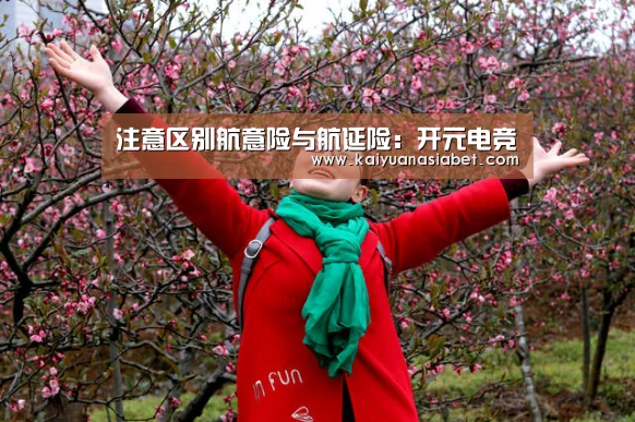 开元电竞